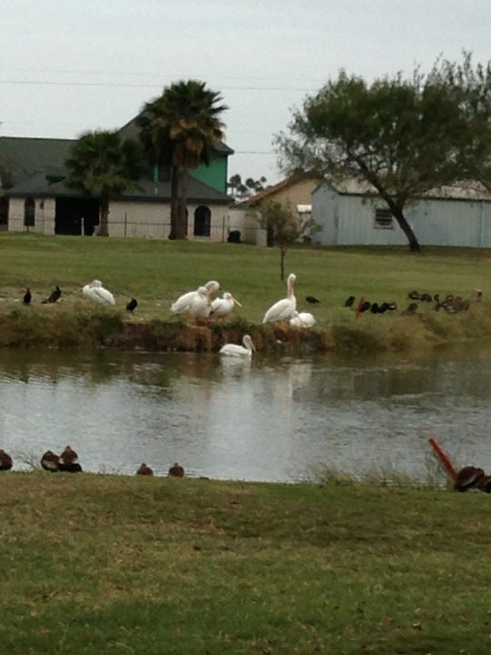 The Plantation Country Club, 3005 Ashley Pl, Pharr, TX, Gymnasiums