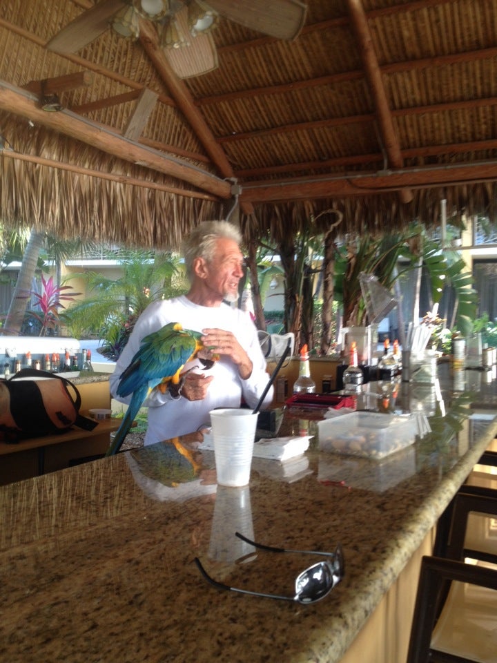 Hampton tiki bar 102400 overseas hwy key largo fl bars mapquest