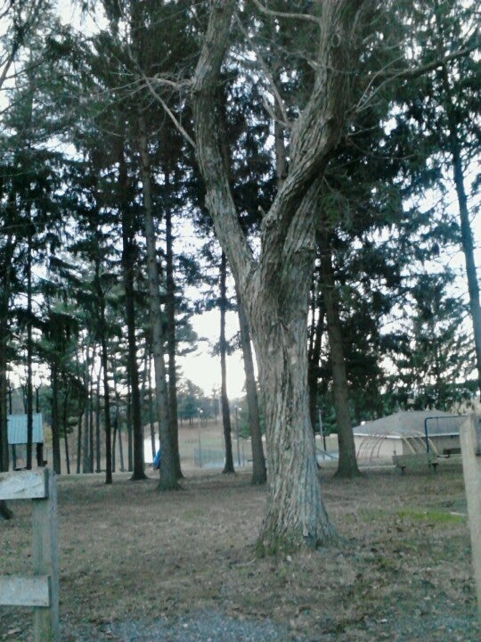 Christmas Tree Park, Water St, Manchester, MD MapQuest