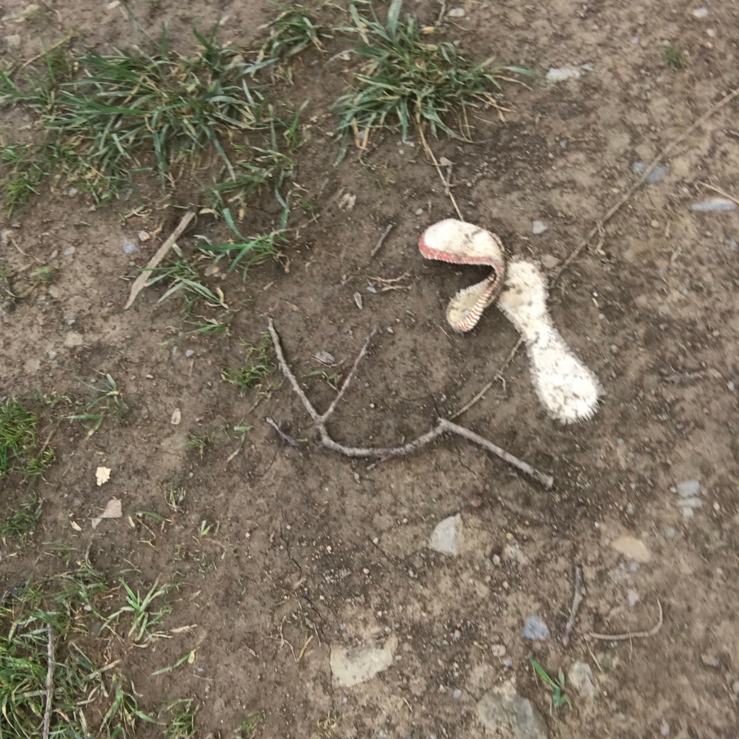 Westover, WV Map & Directions MapQuest