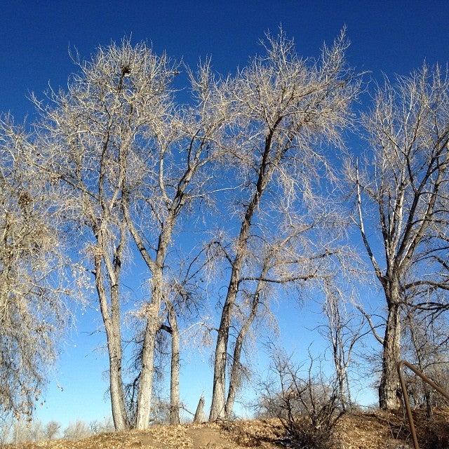 Greenlee Wildlife Preserve, Lafayette, CO, Landmark - MapQuest