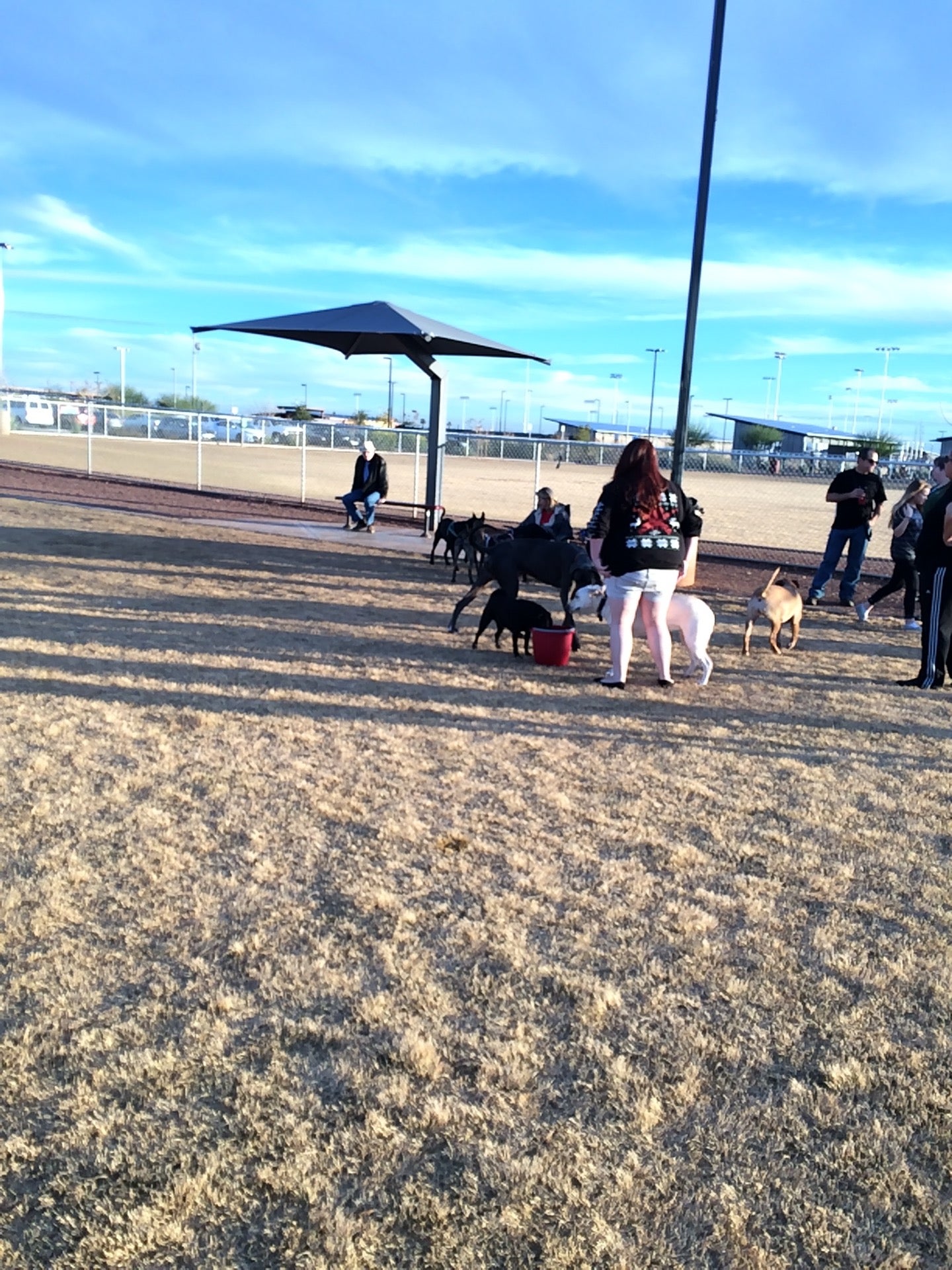 Pioneer Community Park OffLeash Dog Park, 8755 N 83rd Ave, Peoria, AZ