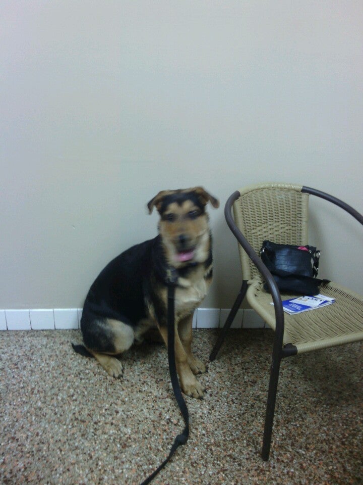 Bradford Pet Care Hospital, 701 E Call St, Starke, FL MapQuest