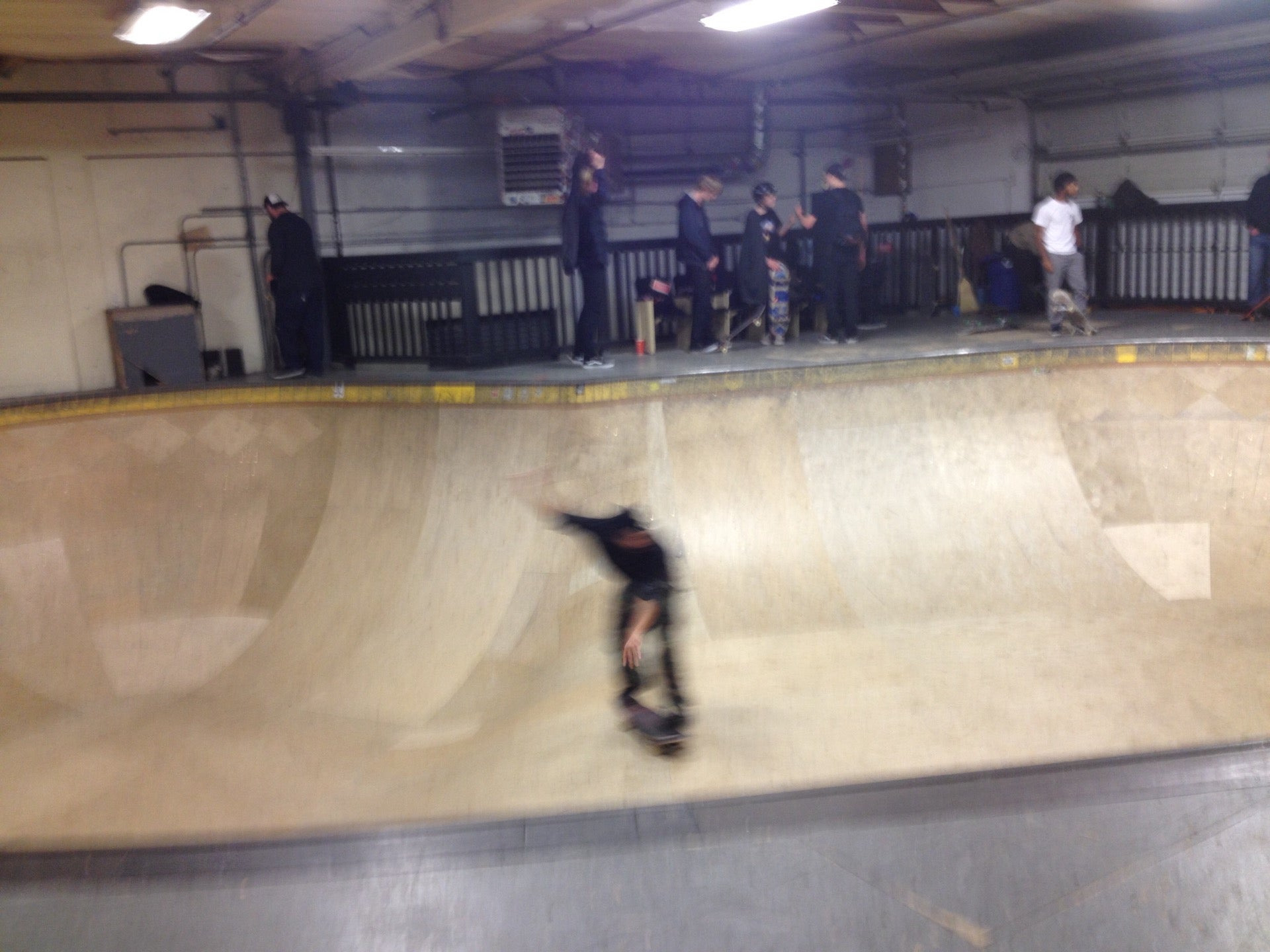 Dog Bowl Photo