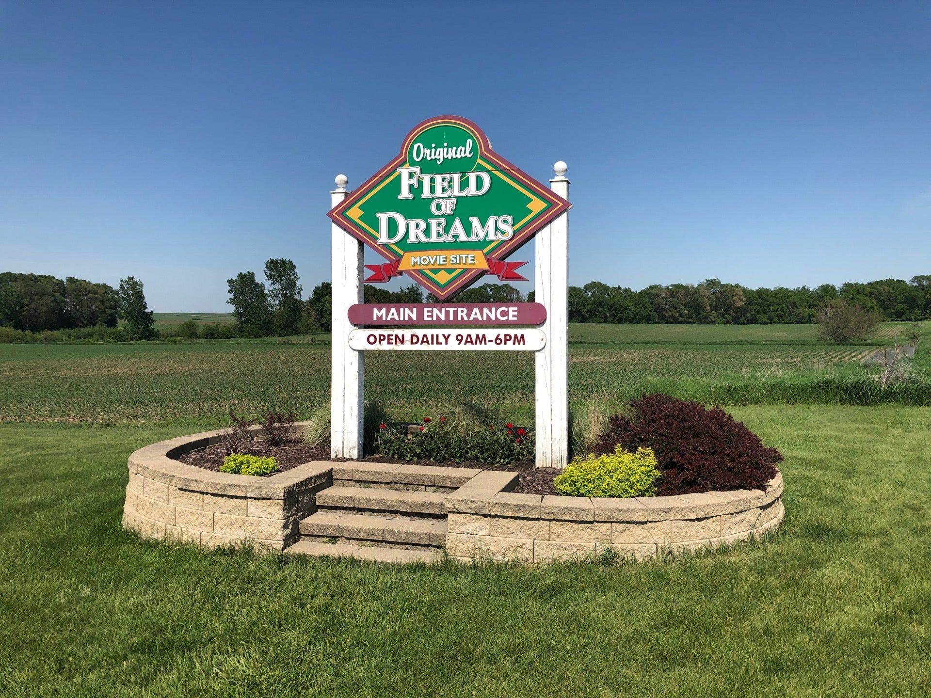 Tasseling Corn at Field of Dreams Movie Site, near Dyersvil…