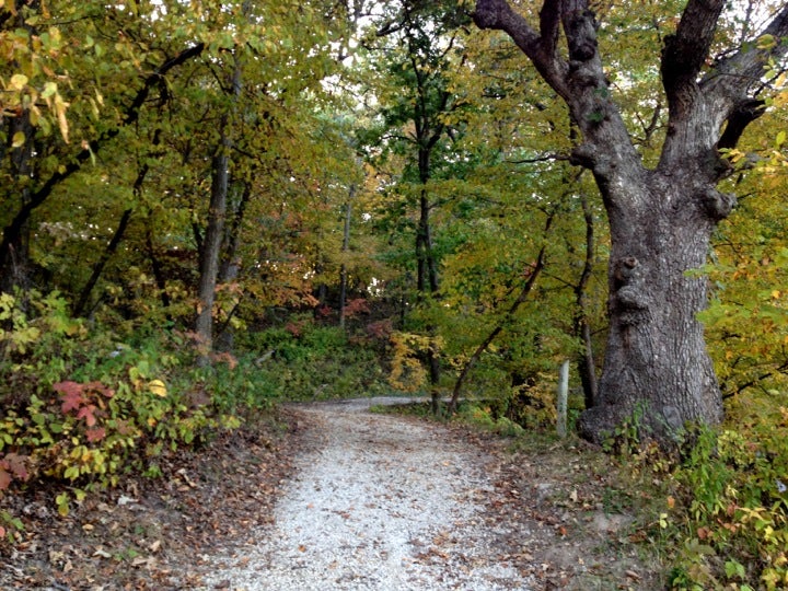 Panora, IA Map & Directions MapQuest