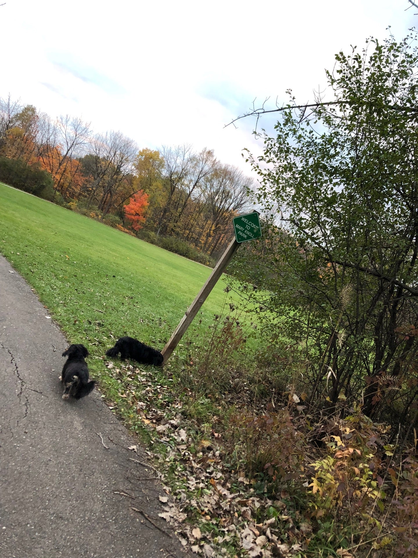 Mary Knoll Park, 615 S Sunny Slope Rd, Brookfield, WI MapQuest