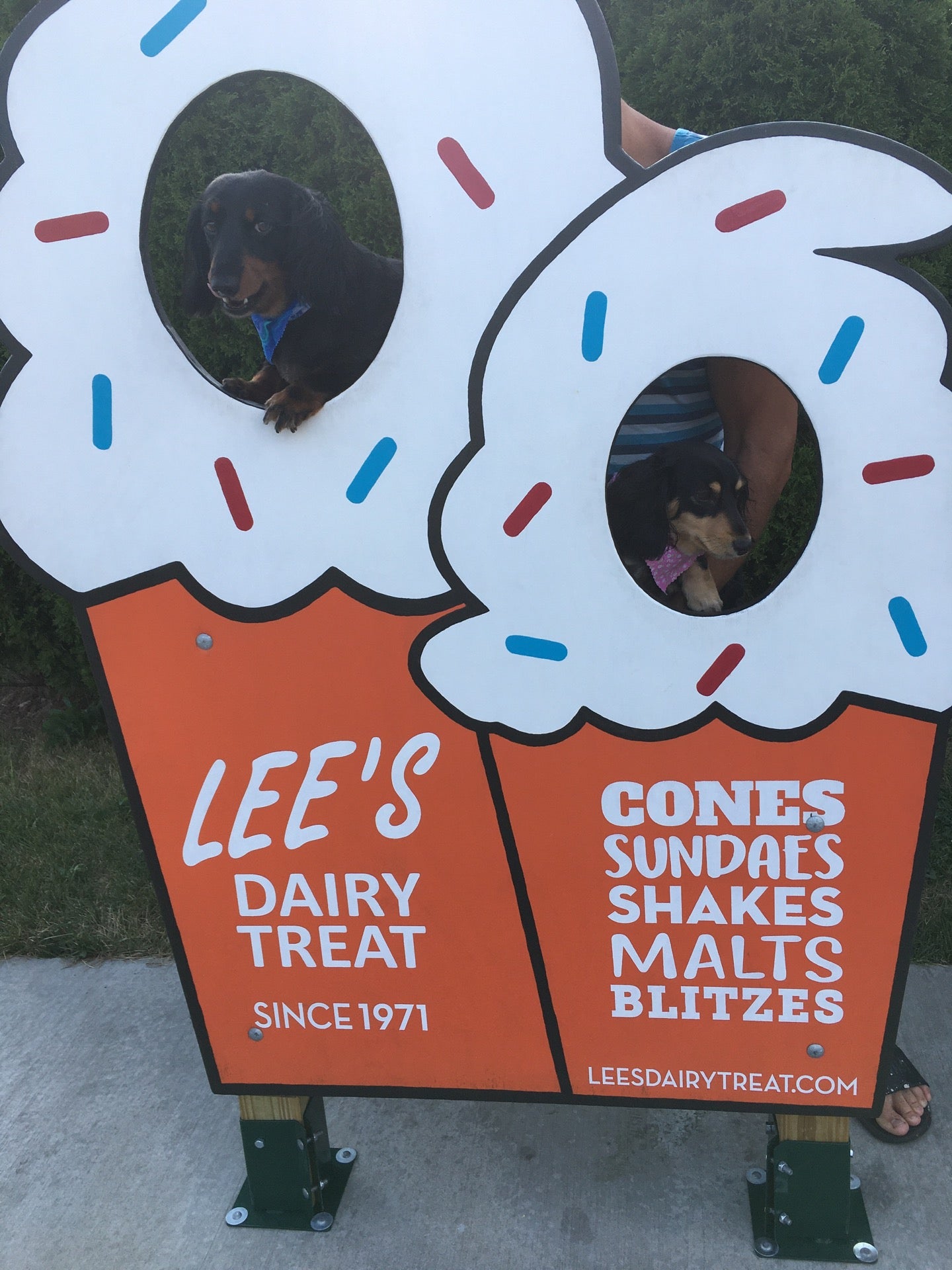 Lee's Dairy Treat, 14040 W Greenfield Ave, Brookfield, WI, Ice Cream  Parlors - MapQuest