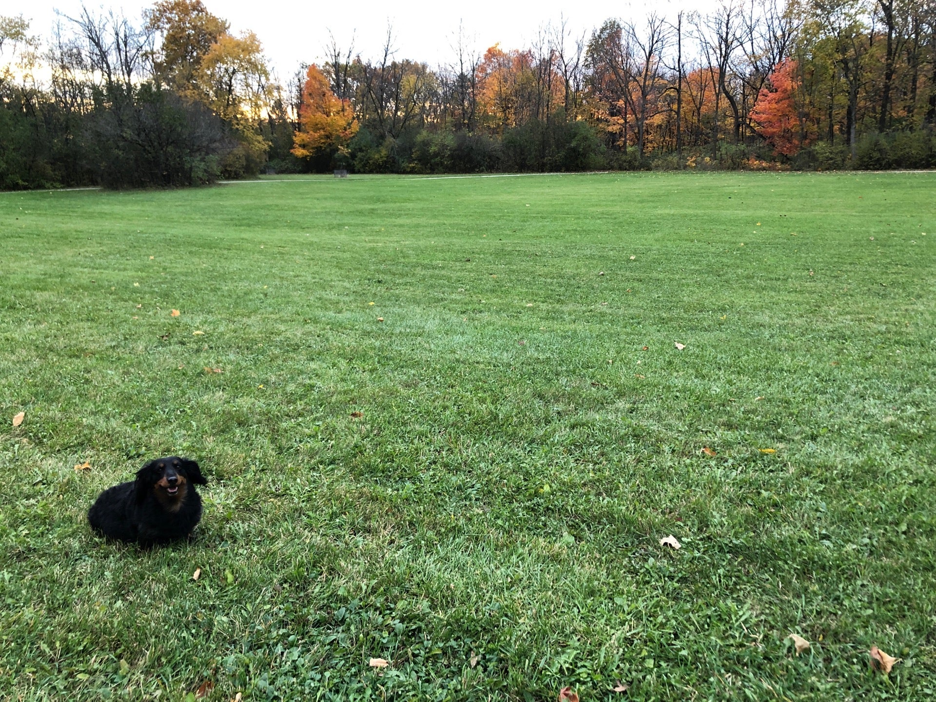 Mary Knoll Park, 615 S Sunny Slope Rd, Brookfield, WI - MapQuest