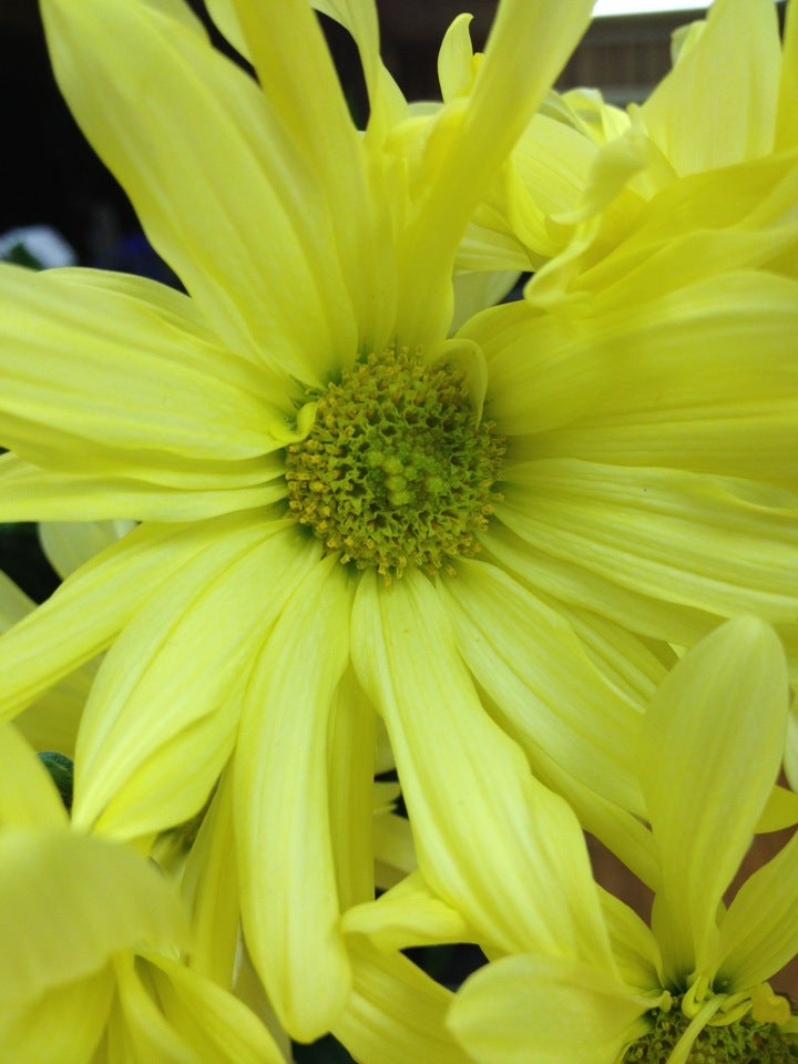 Best Antique Stores in Carthage, Texas MapQuest