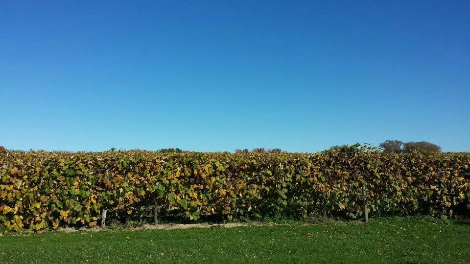 Ripley, NY Map & Directions MapQuest