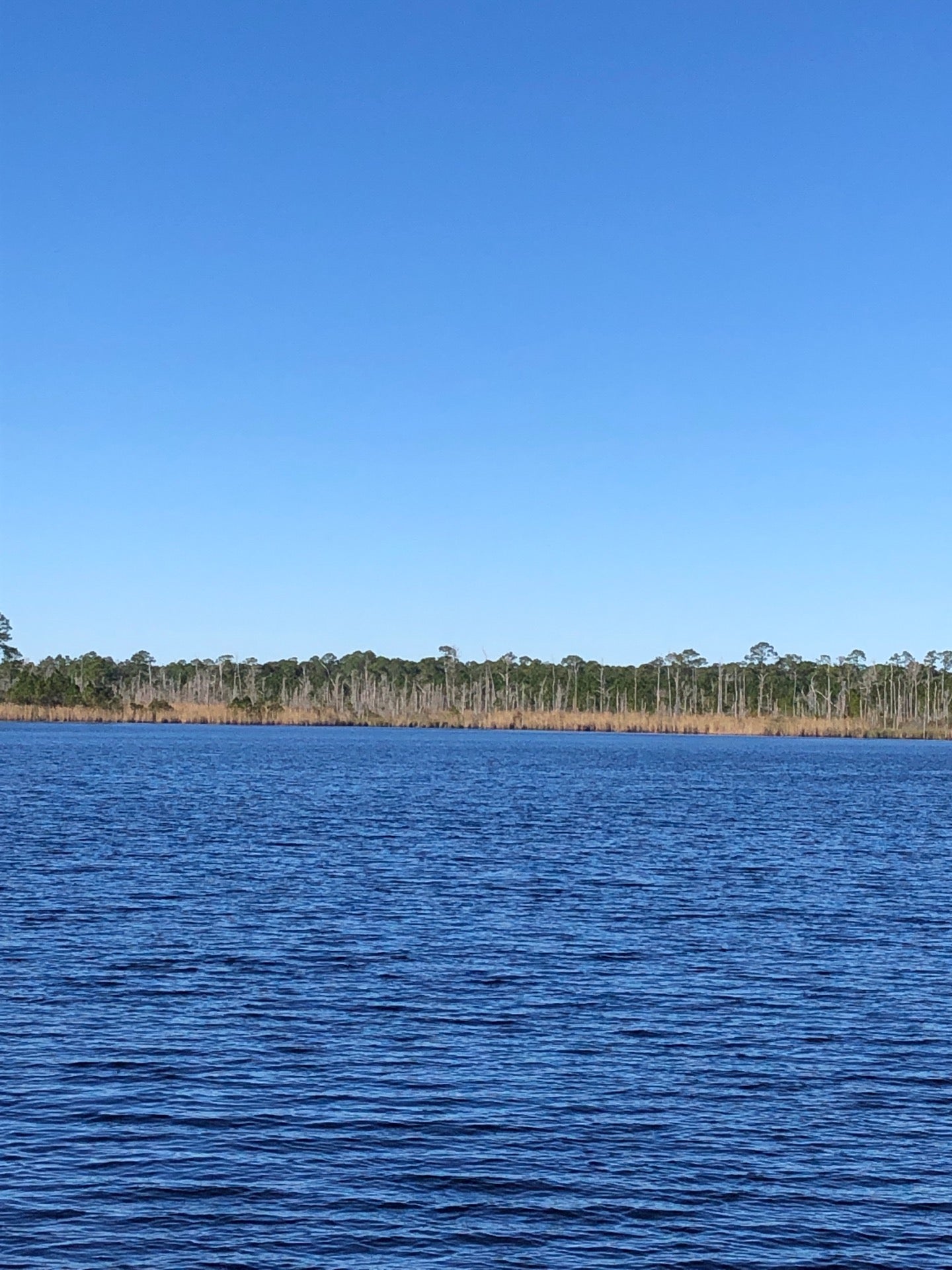 Gulf State Park Lake Shelby 20115 State Highway 135 Gulf Shores AL