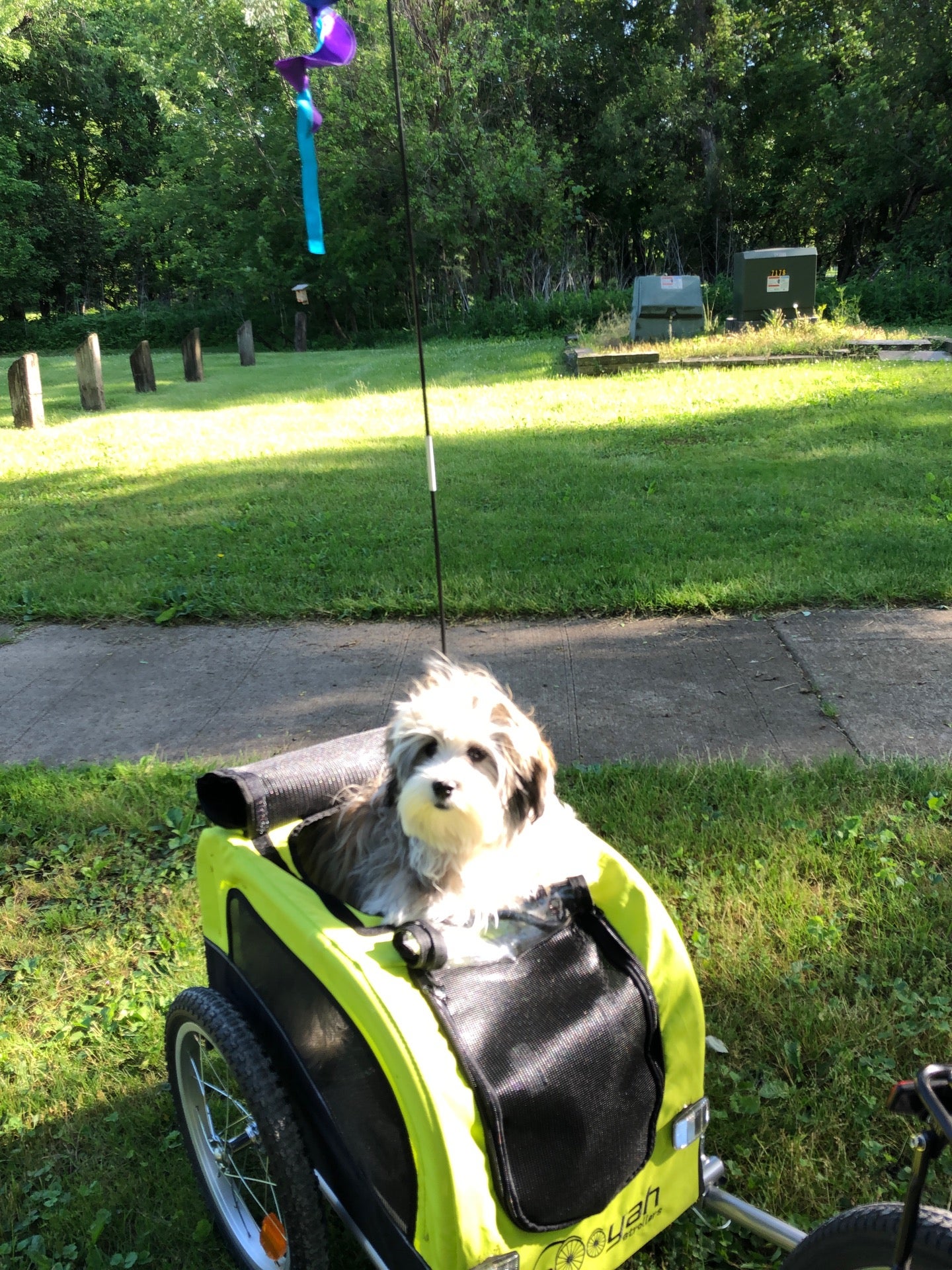 Shell Rock, IA Map & Directions MapQuest