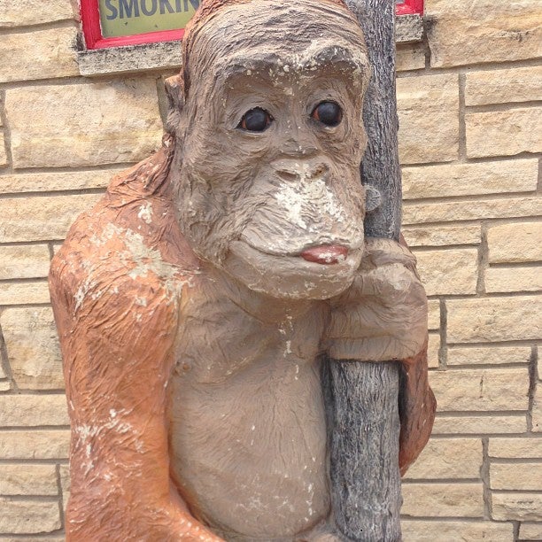 Olin, IA Map & Directions MapQuest