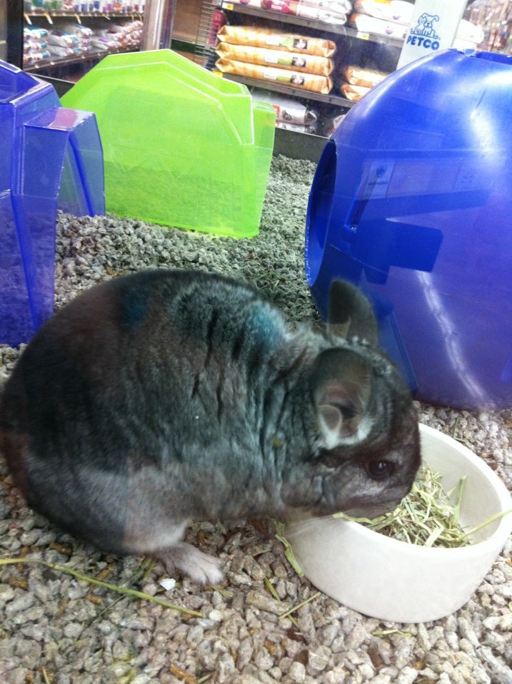 Hubert Francis Pancho, 15125 Northwest Blvd, Corpus Christi, TX