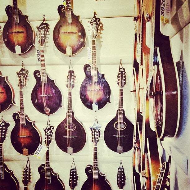 Mandolin Brothers, 629 Forest Ave, Staten Island, NY, Musical