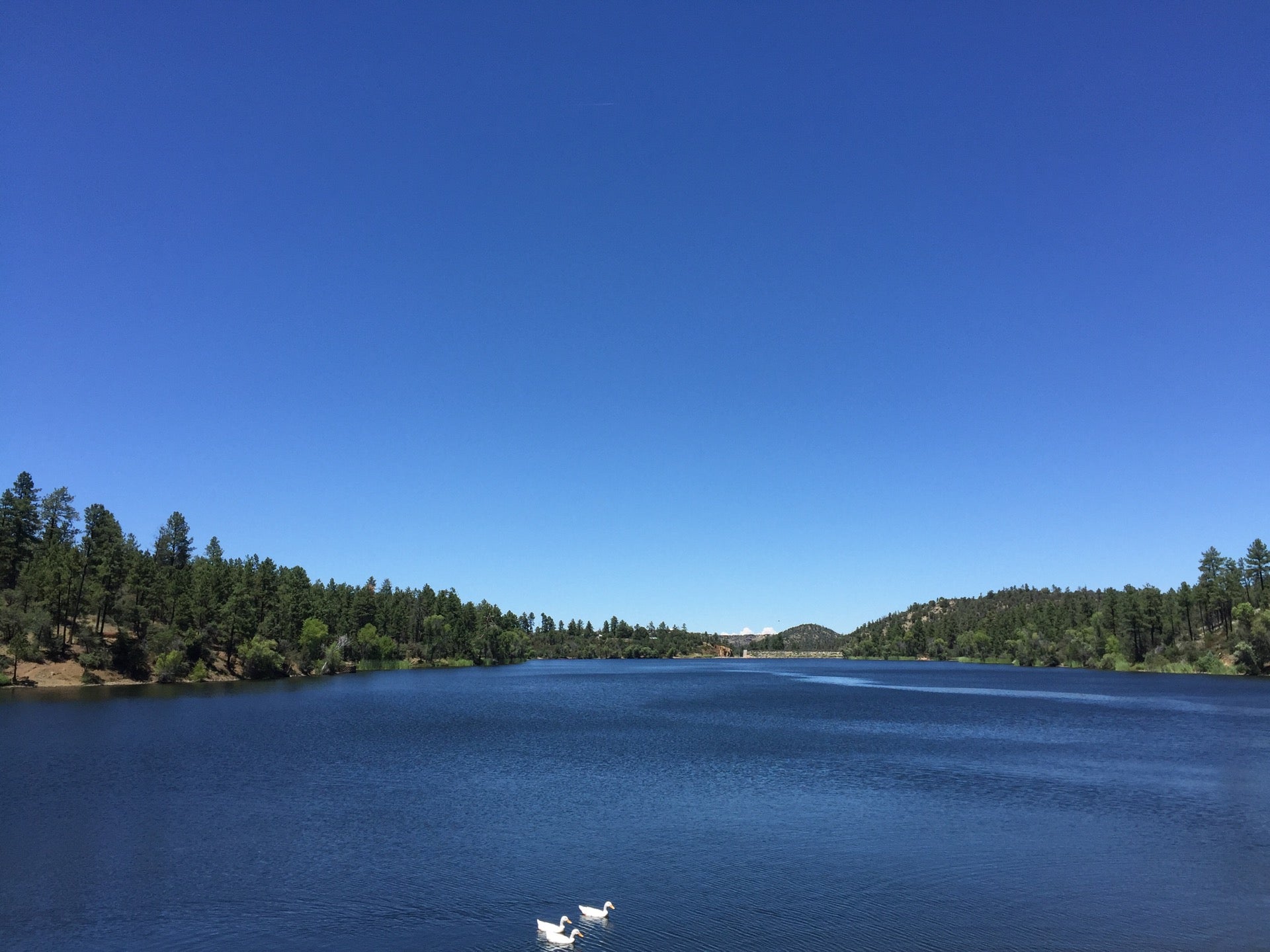 Camp Grounds at Lynx Lake, Prescott, AZ, Campgrounds MapQuest