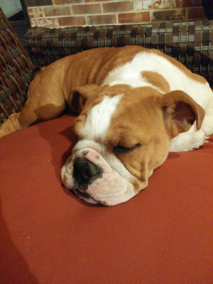 Waxahachie Lake, Waxahachie, TX MapQuest