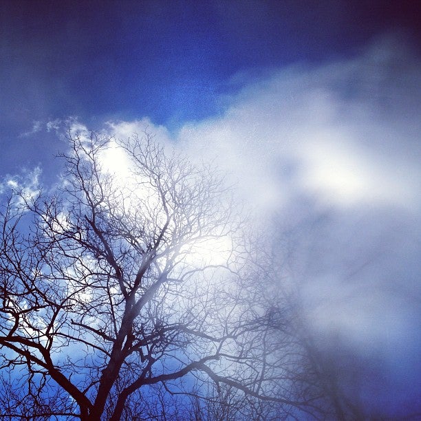 Big Oak Lake, Spring Hill, TN MapQuest