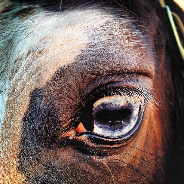 Big Oak Lake, Spring Hill, TN MapQuest