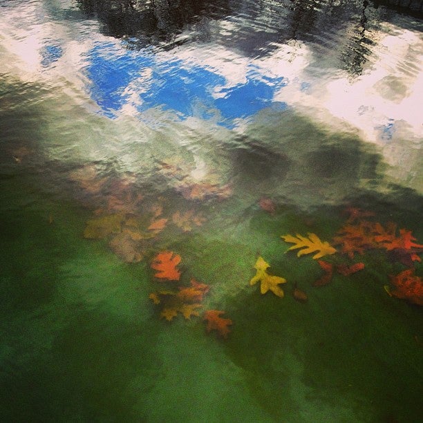 Big Oak Lake, Spring Hill, TN MapQuest