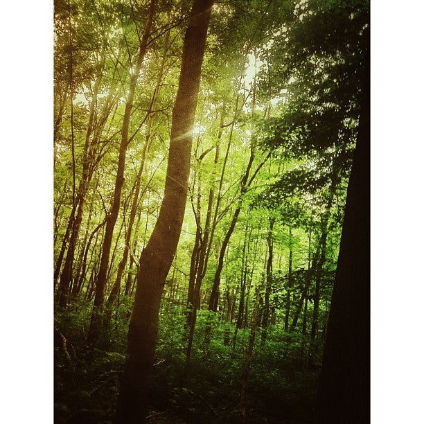 Murrysville, PA Map & Directions MapQuest