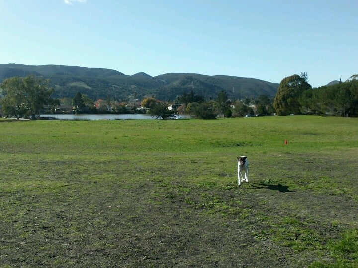 Laguna Dog Park Activities