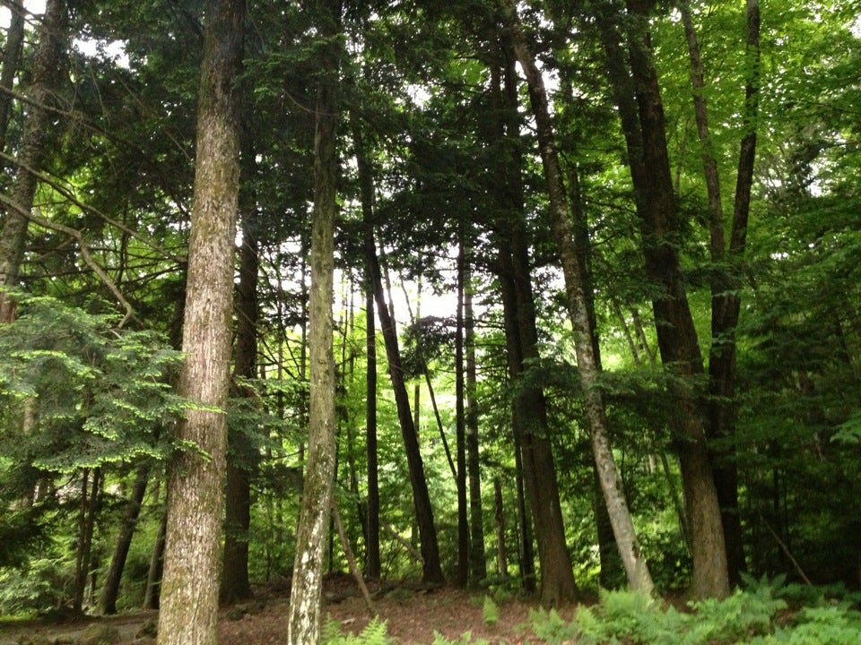Baxter Lake, Camelot Shore Dr, Farmington, Town of, NH, Lake MapQuest
