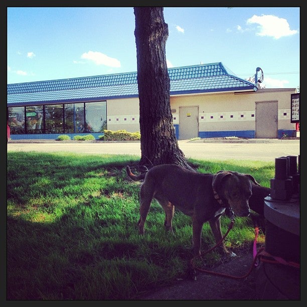 Cuba, NY Map & Directions MapQuest