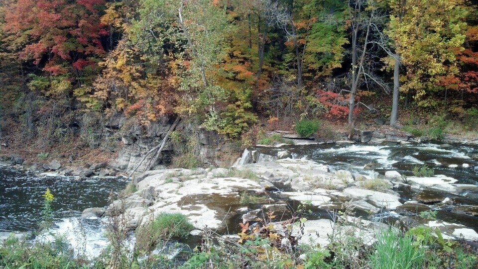 Indian Falls Log Cabin Restaurant, 1227 Gilmore Rd, Corfu, NY, Family