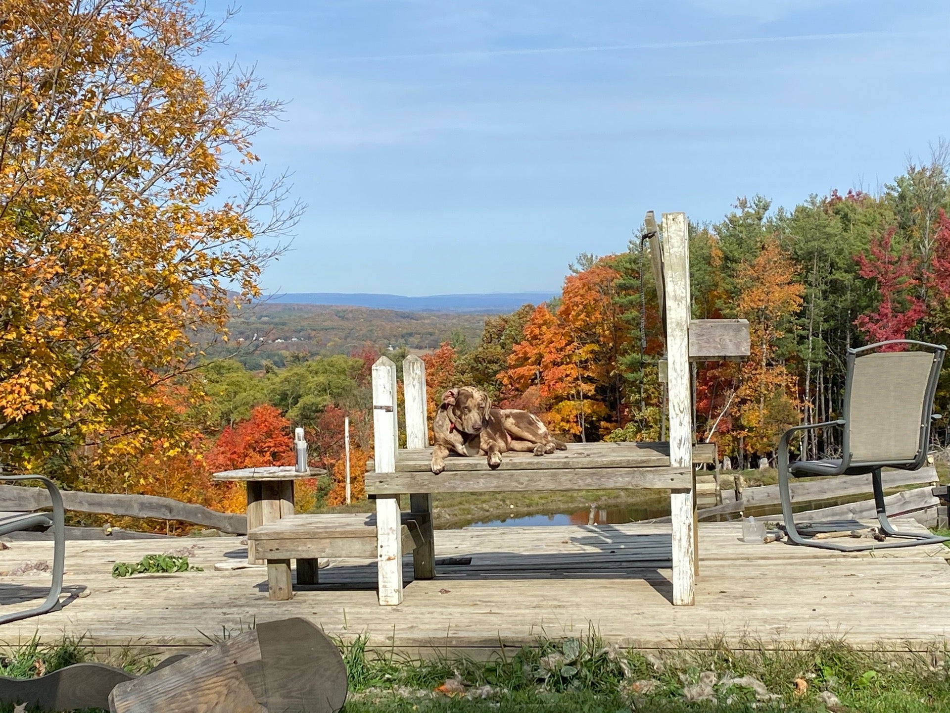 Westerlo, NY Map & Directions MapQuest