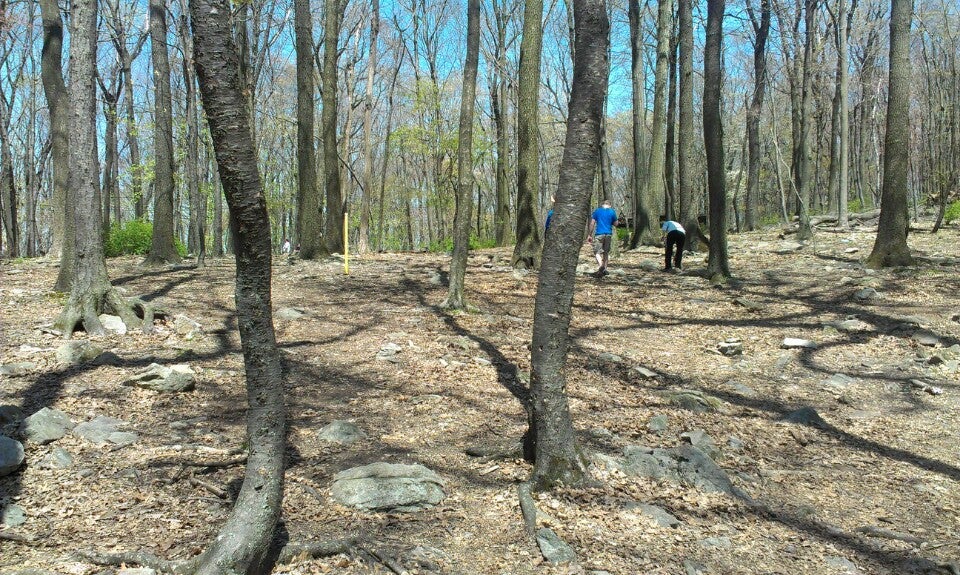 South Mountain Disc Golf Course, South Mountain Road, Bethlehem, PA