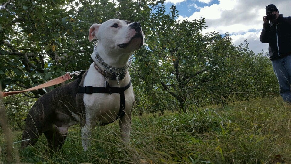 Stephens City, VA Map & Directions MapQuest