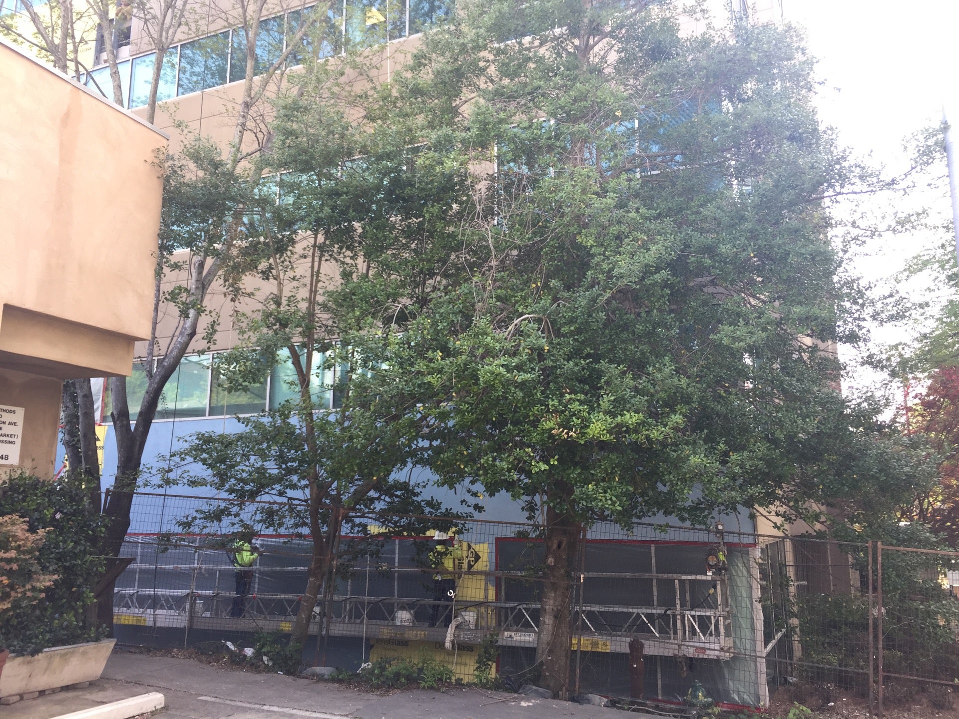 Clark Harrison Building, 330 W Ponce De Leon Ave, Decatur, GA