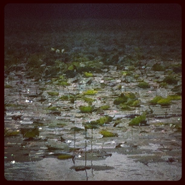 Earleville, MD Map & Directions MapQuest