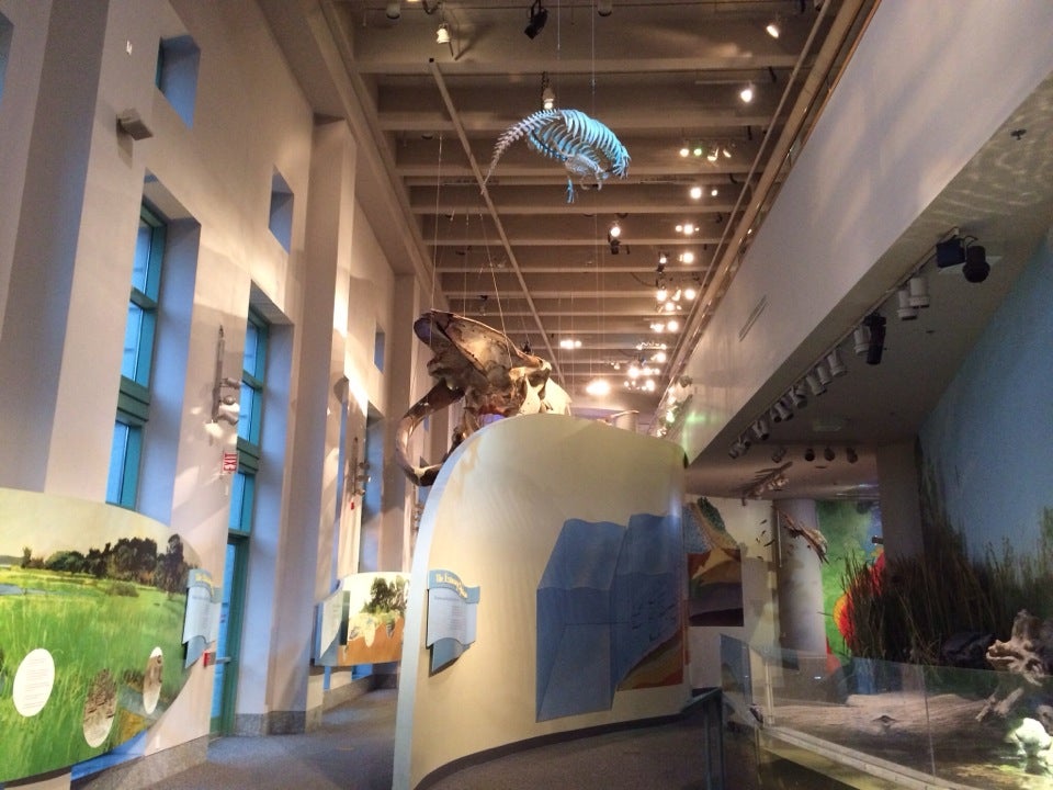 NC Museum of History CAT/RLine Bus Stop, E Edenton St, Raleigh, NC