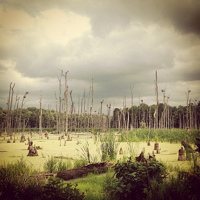 Sterling, NY Map & Directions MapQuest