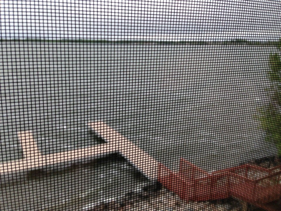 Colman, SD Map & Directions MapQuest