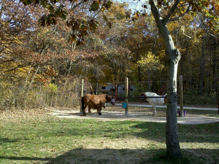 Forestville State Park Horse Campground, Preston, MN, Campgrounds
