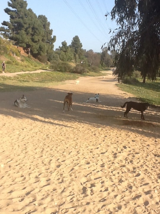 Power Lines Dog Park, Village Run W, Encinitas, CA, Outdoor Sports