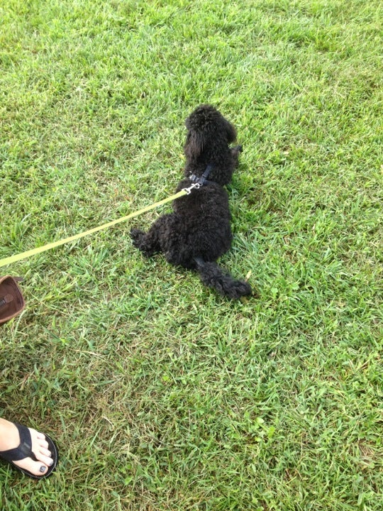 Macclesfield Park, 1000 River Rd, Lower Makefield Twp, PA, Playgrounds