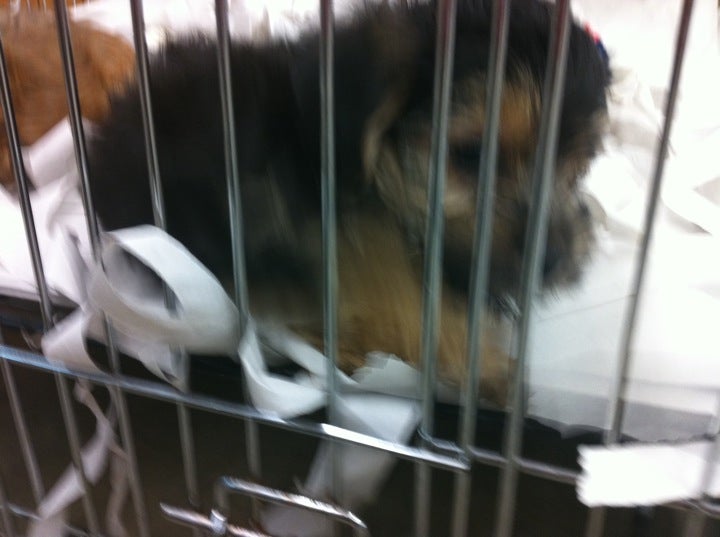 Pet World, 3637 Havendale Blvd, Auburndale, FL MapQuest