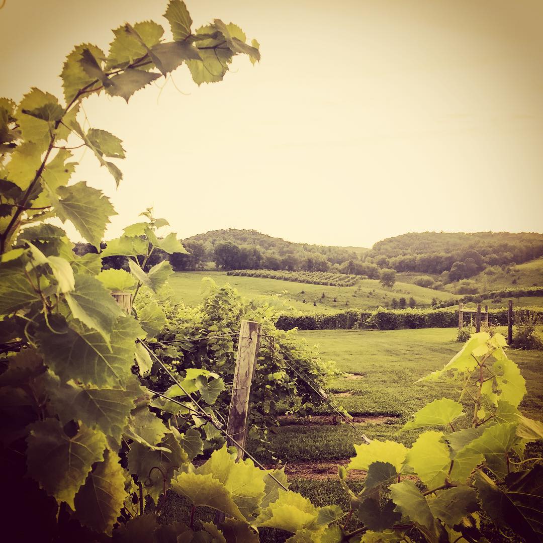 Osseo, WI Map & Directions MapQuest