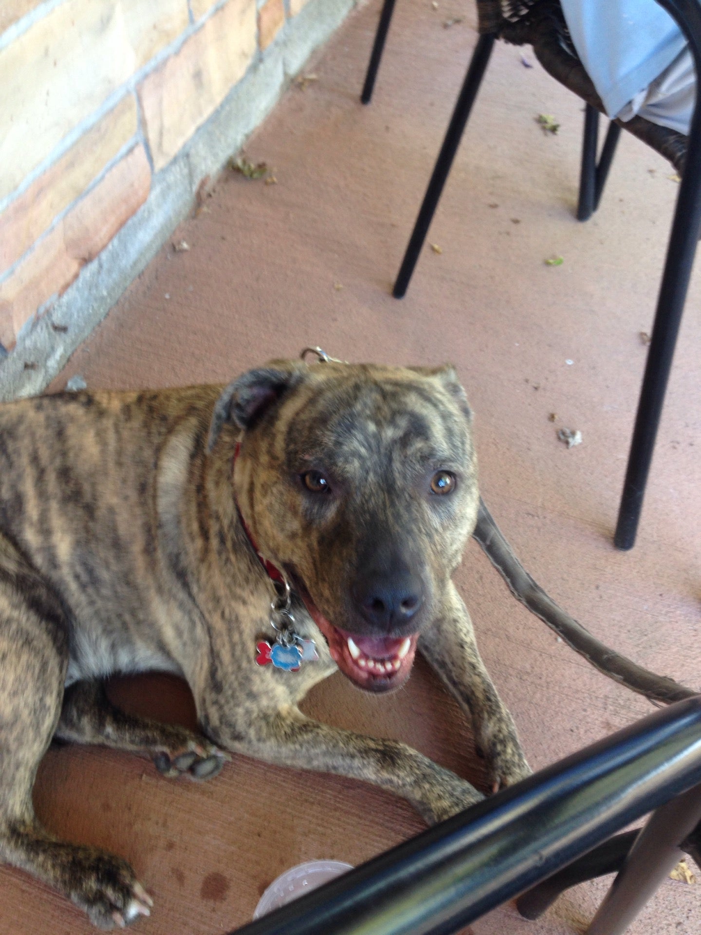 Redgranite, WI Map & Directions MapQuest