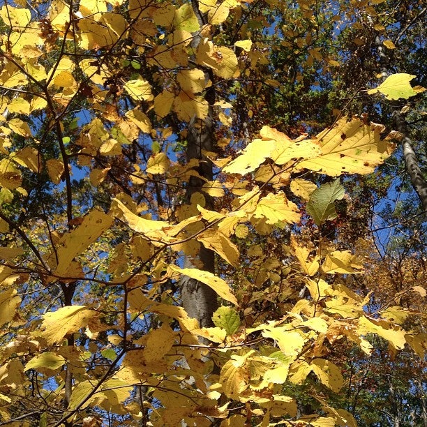James A McFaul Environmental Center, 182 Anthony Pl, Wyckoff, NJ