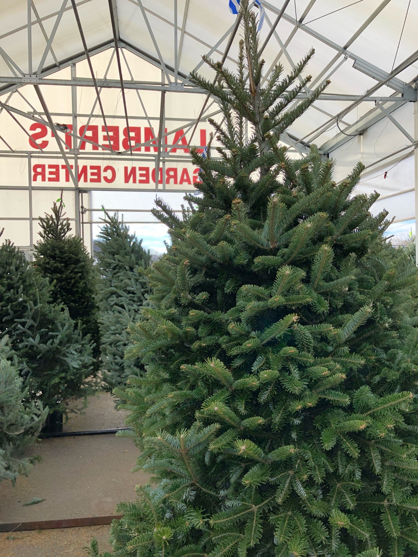 Lamberts Garden Center, 220 Providence Hwy, Westwood, MA 02090, US