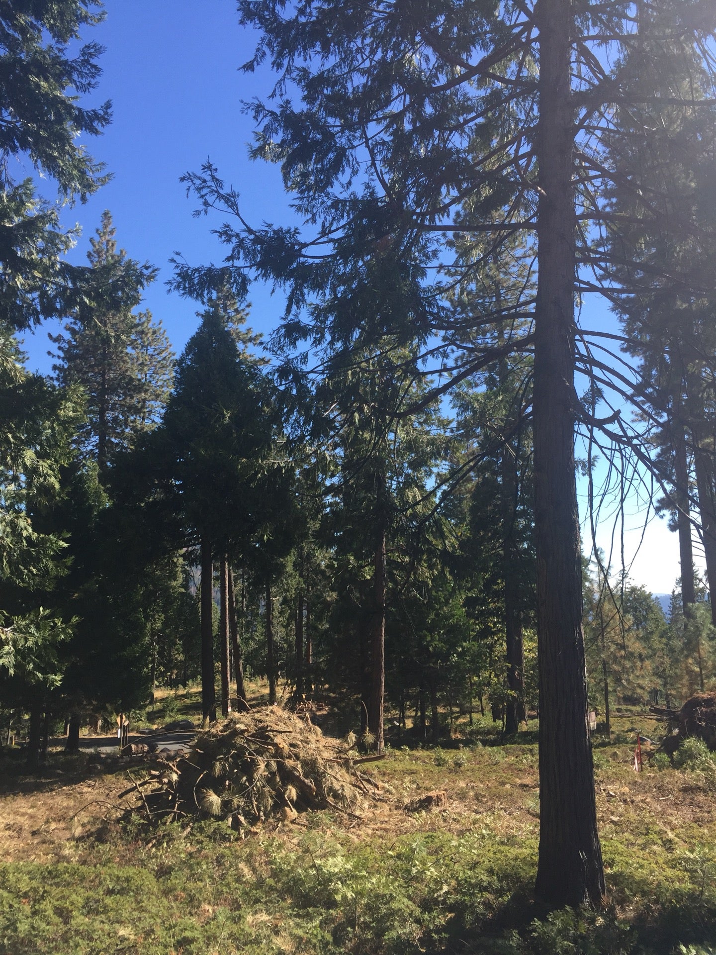 MiWuk Village, CA Map & Directions MapQuest