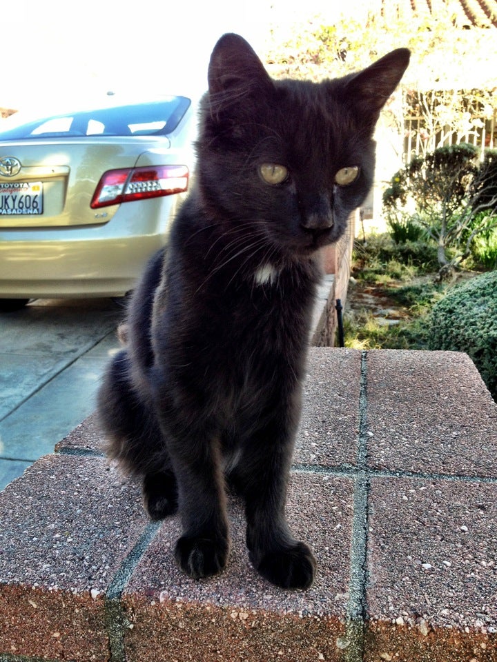 Alhambra Chinese New Year Festival Ready Artwork Booth B40, Valley