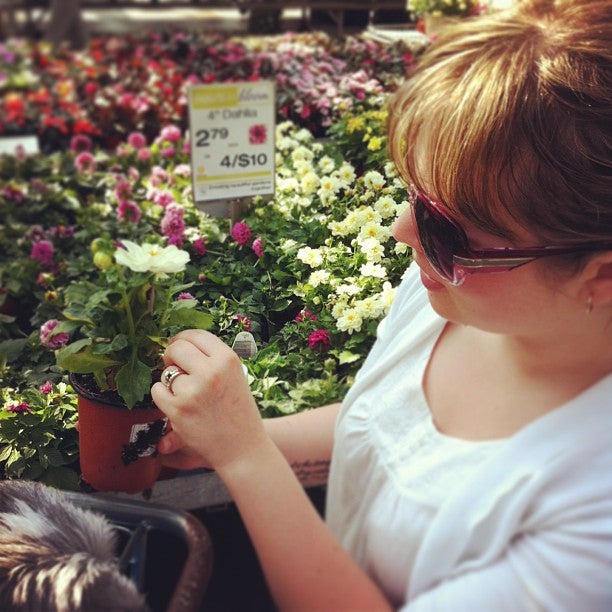 Bradford Greenhouses Garden Gallery, 4346 Highway 90, Barrie, ON MapQuest