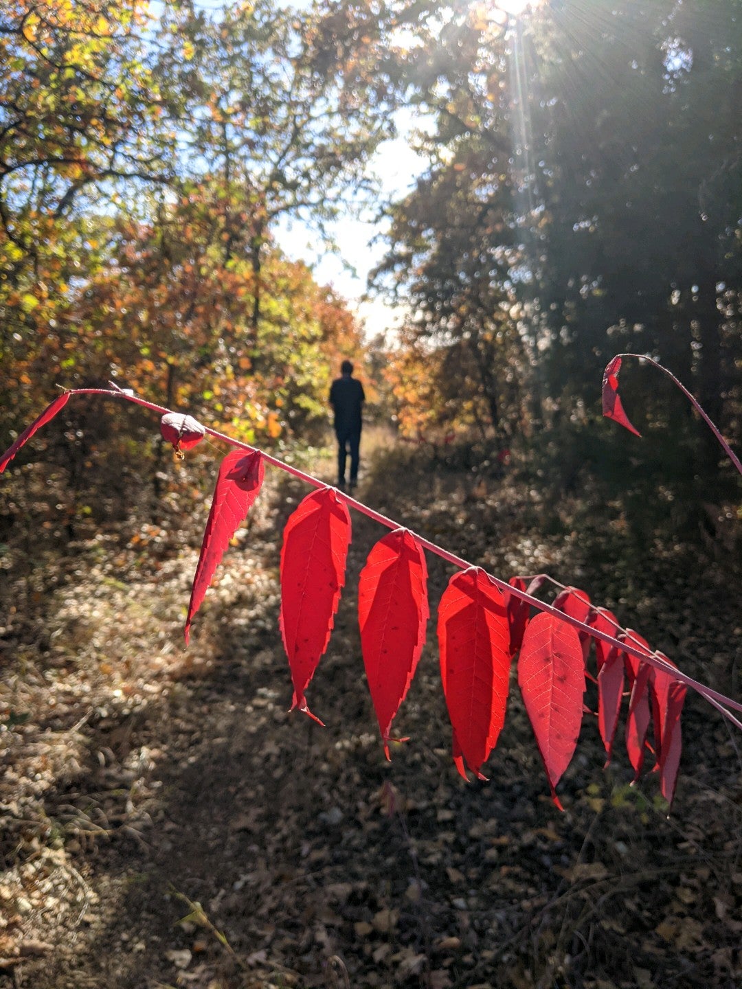 Kennedale, TX Map & Directions MapQuest